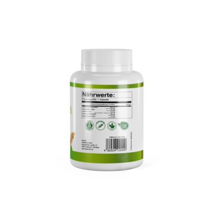 VitaSanum® Ginseng Tri – Pflanzliche Energie für Körper & Geist